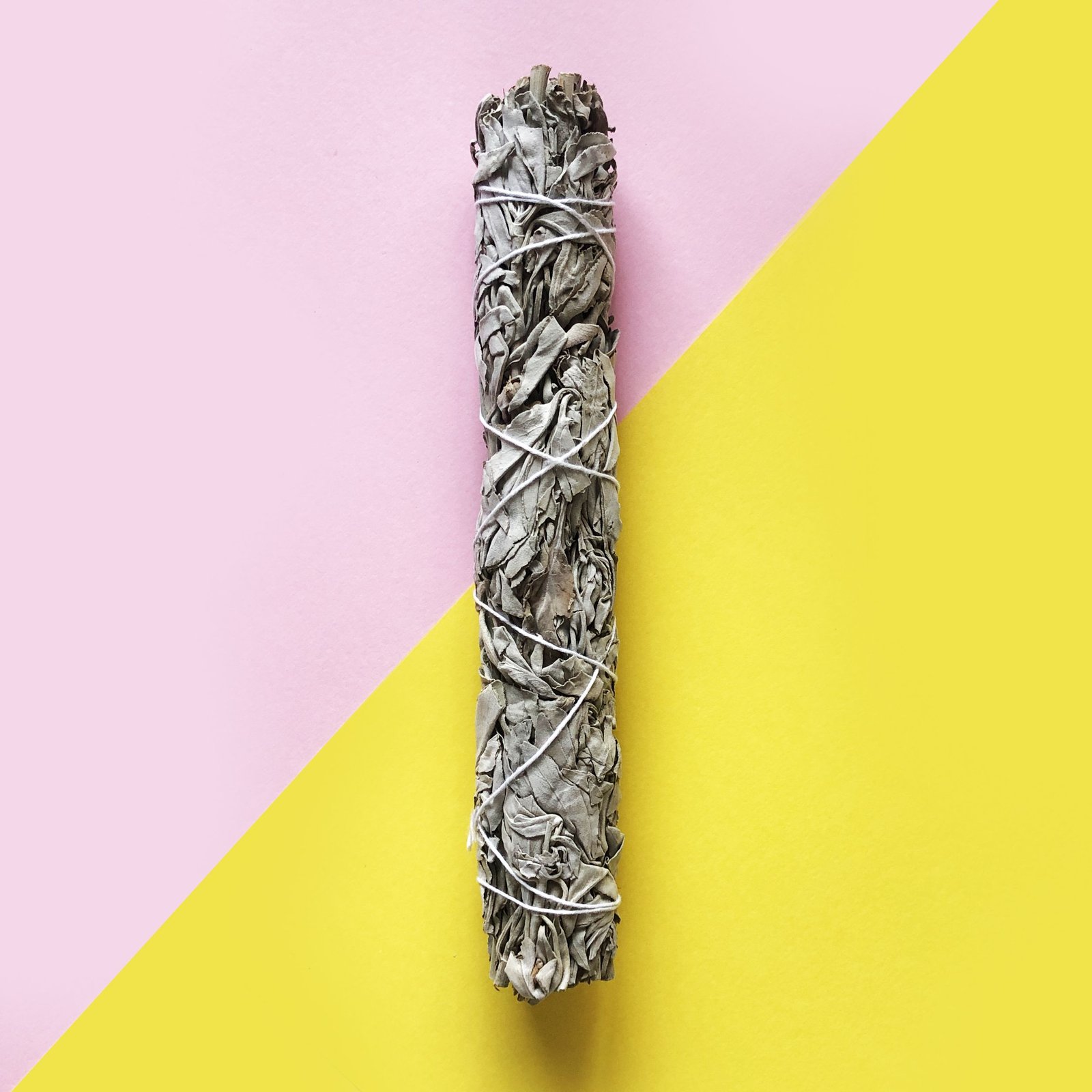 Smudge.jpg Smudge.jpg